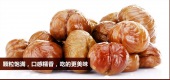 “木本粮食”板栗